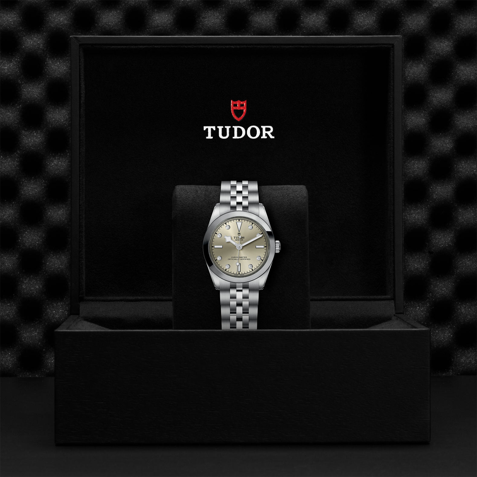 TUDOR Black Bay 31/36/39/41 Watch - M79600-0006 at Kerns Fine Jewelry