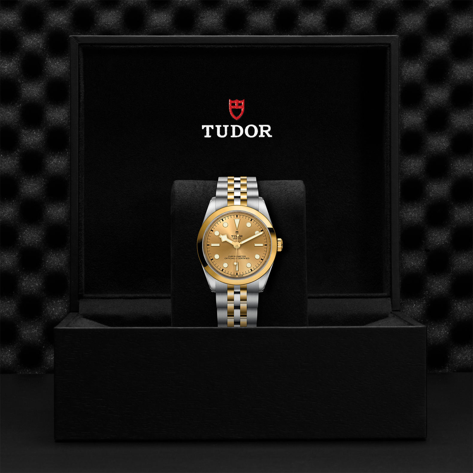 TUDOR Black Bay 31/36/39/41 S&G Watch - M79643-0005 at Kerns Fine Jewelry