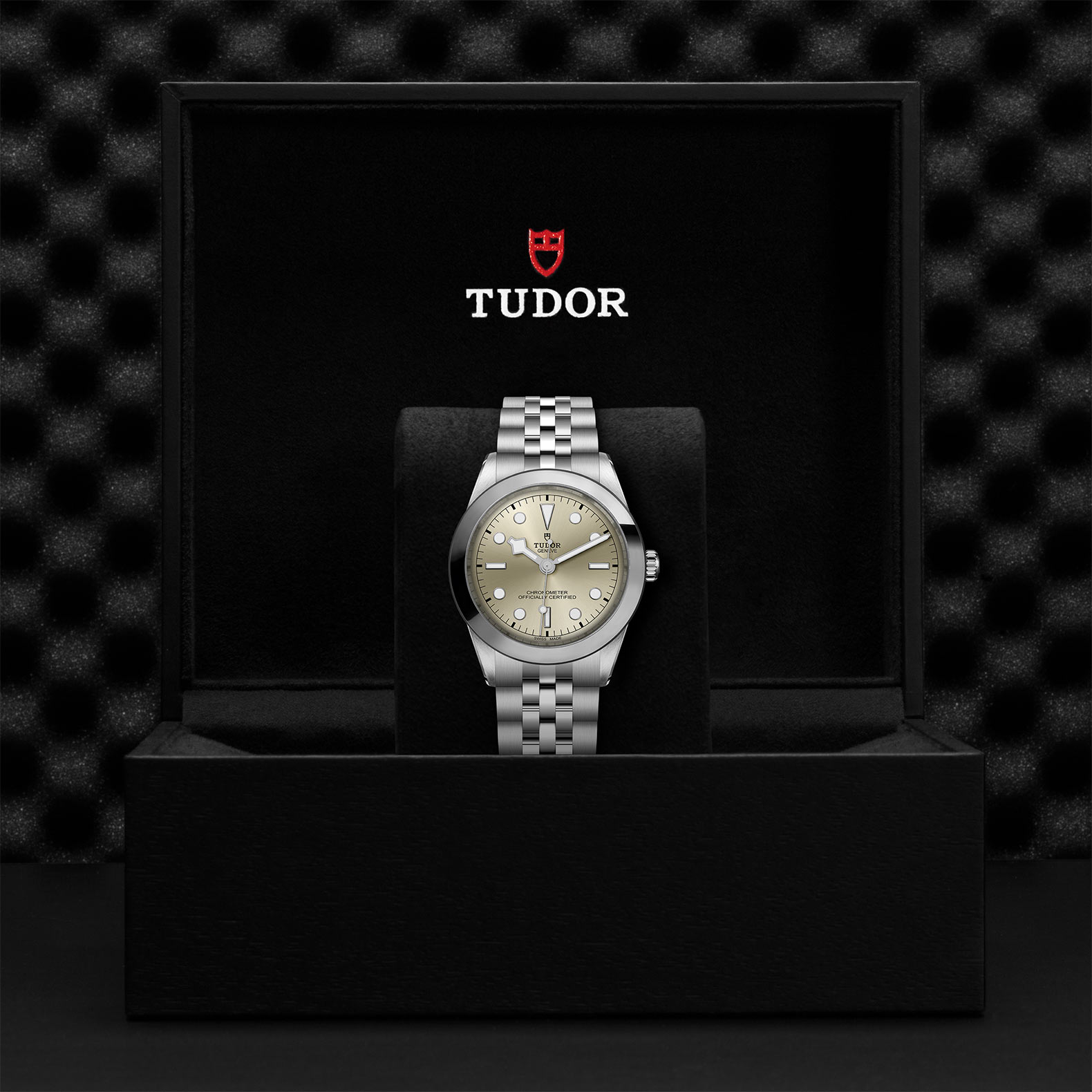 TUDOR Black Bay 31/36/39/41 Watch - M79660-0003 at Kerns Fine Jewelry